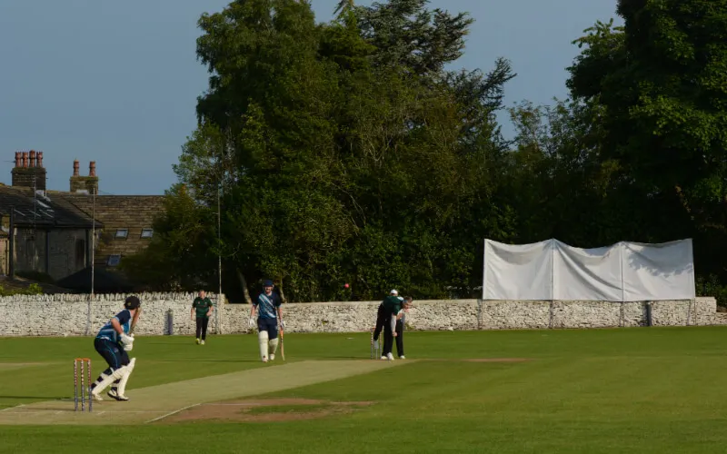 Huddersfield Cricket League: Sixes among the alpacas at Denby