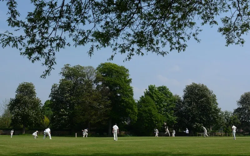 Wildflower meadows and special branches at Hundhill Hall