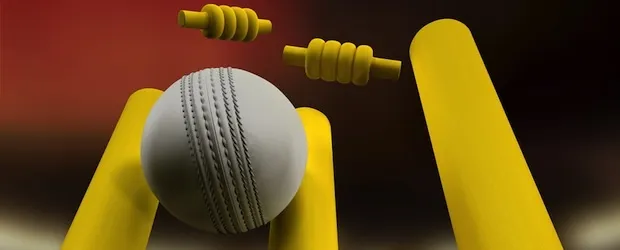 indoor cricket