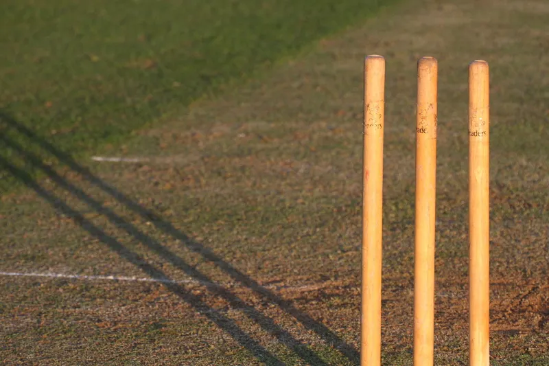 cricket stumps