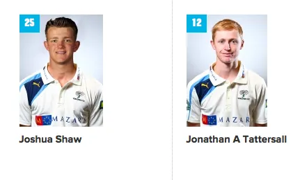josh shaw and jonathan tattersall