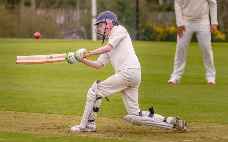 Best Junior Cricket Bats Guide