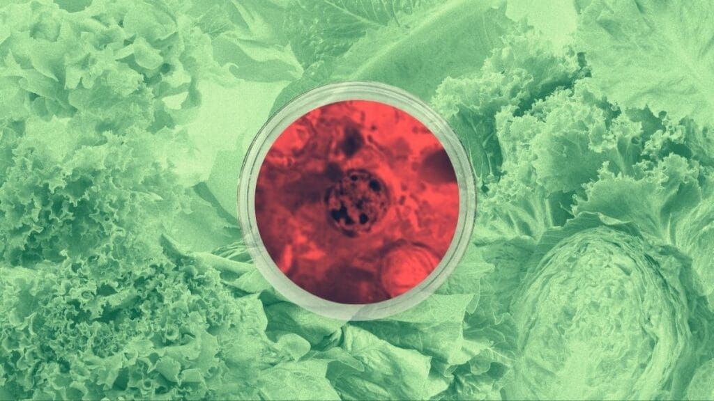 Vast produce supply chain complicates tracking food safety in the Midwest