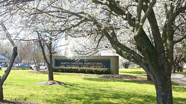 N.C. A&T students take lead on early voting