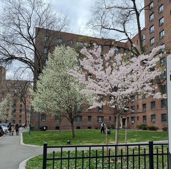 Emergency housing vouchers are ending early, leaving cities and renters scrambling