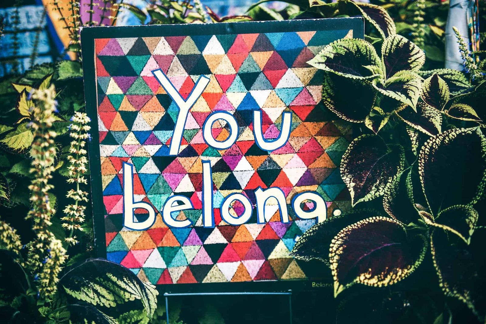 Image of a multicoloured board with the text 'You Belong'.