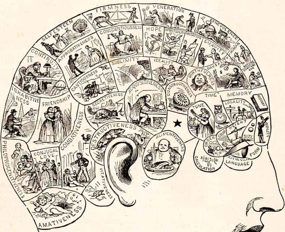 Phrenology Chart of the Faculties