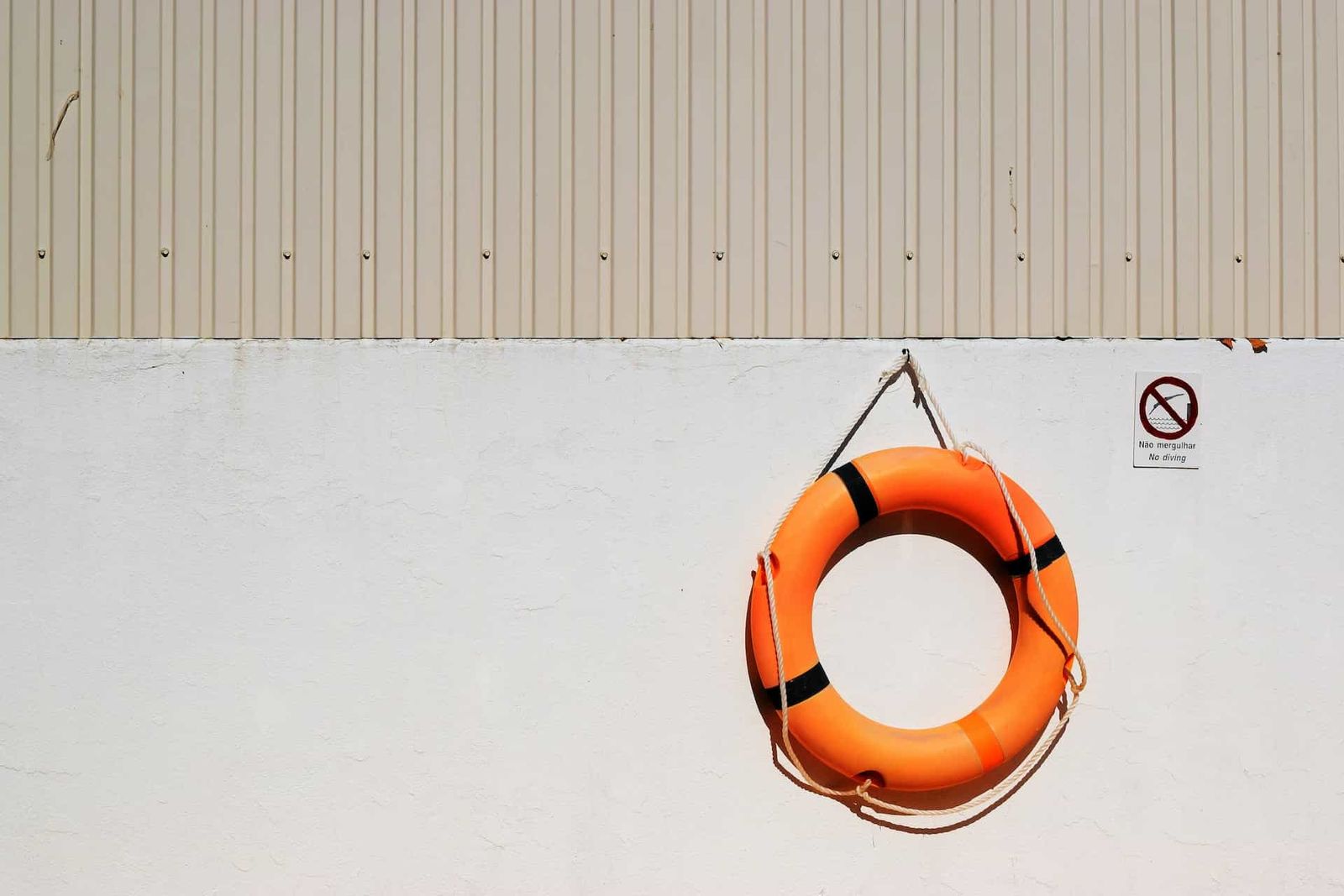 Lifebelt hanging on a wall.