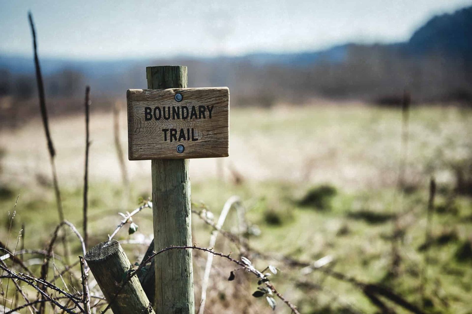 Image of a field with a sign 'Boundary Trail'.