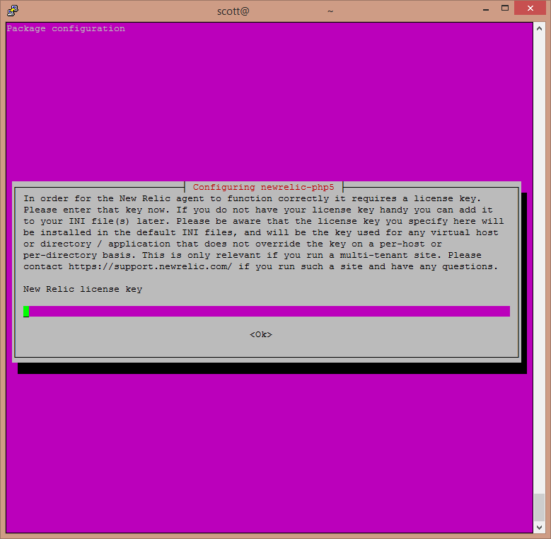 New Relic License Key