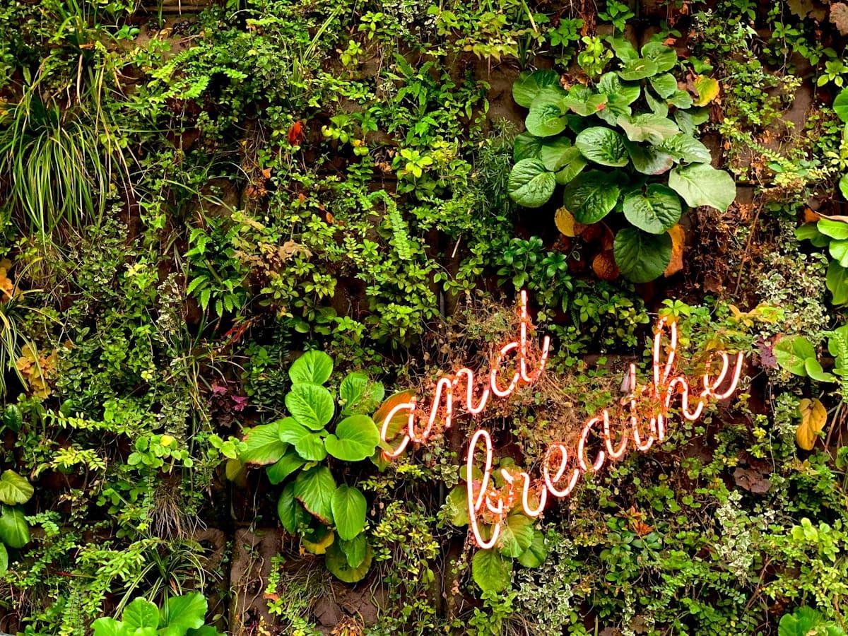 12 Grateful Journaling Prompts for Emotional Clarity