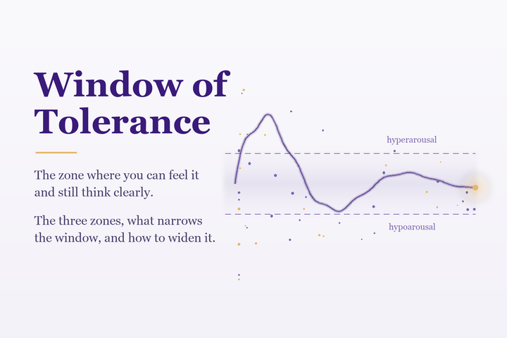 Illustration: an arousal line spikes above a soft band, drops below it, then settles inside — the window of tolerance.