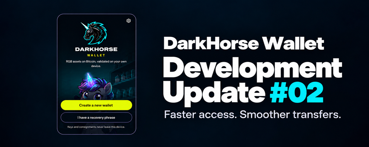 DarkHorse Wallet Development Update #02 | Faster Access, Smoother Transfers