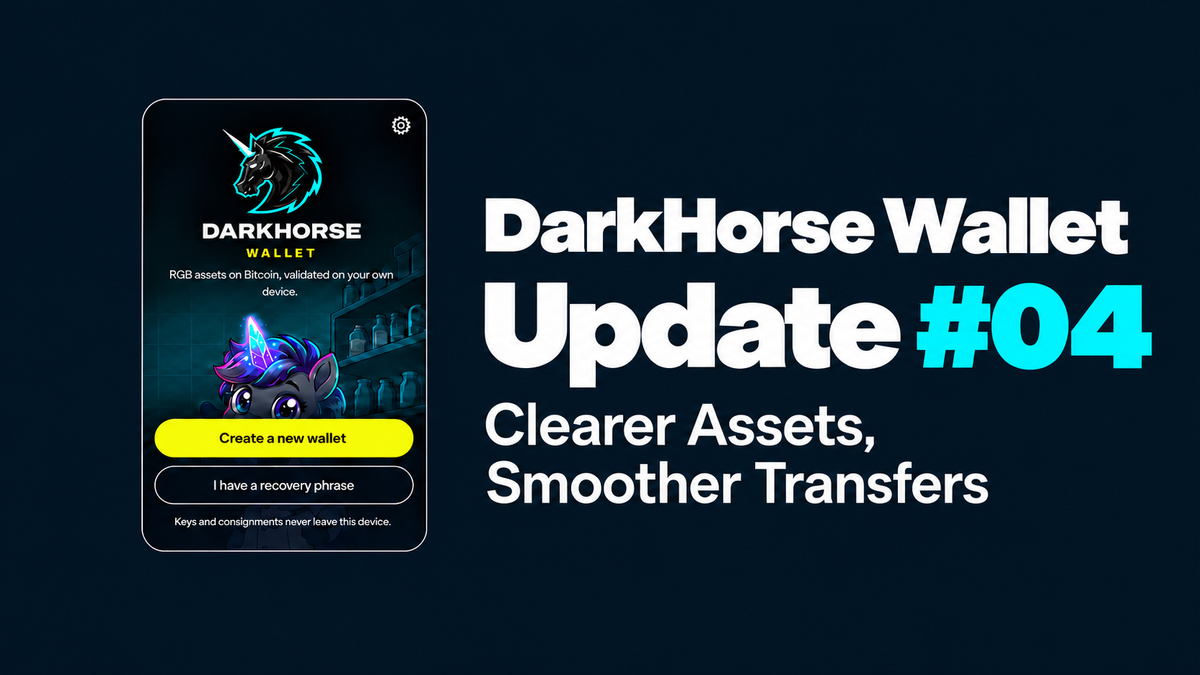 DarkHorse Wallet Update #04 | Clearer Assets, Smoother Transfers
