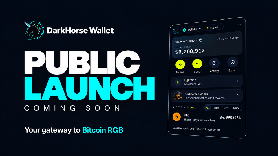 DarkHorse Wallet Update #06 | Stronger Security, Official Launch Coming Soon