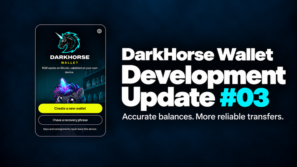 DarkHorse Wallet Update #03 | Accurate Balances, Reliable Transfers