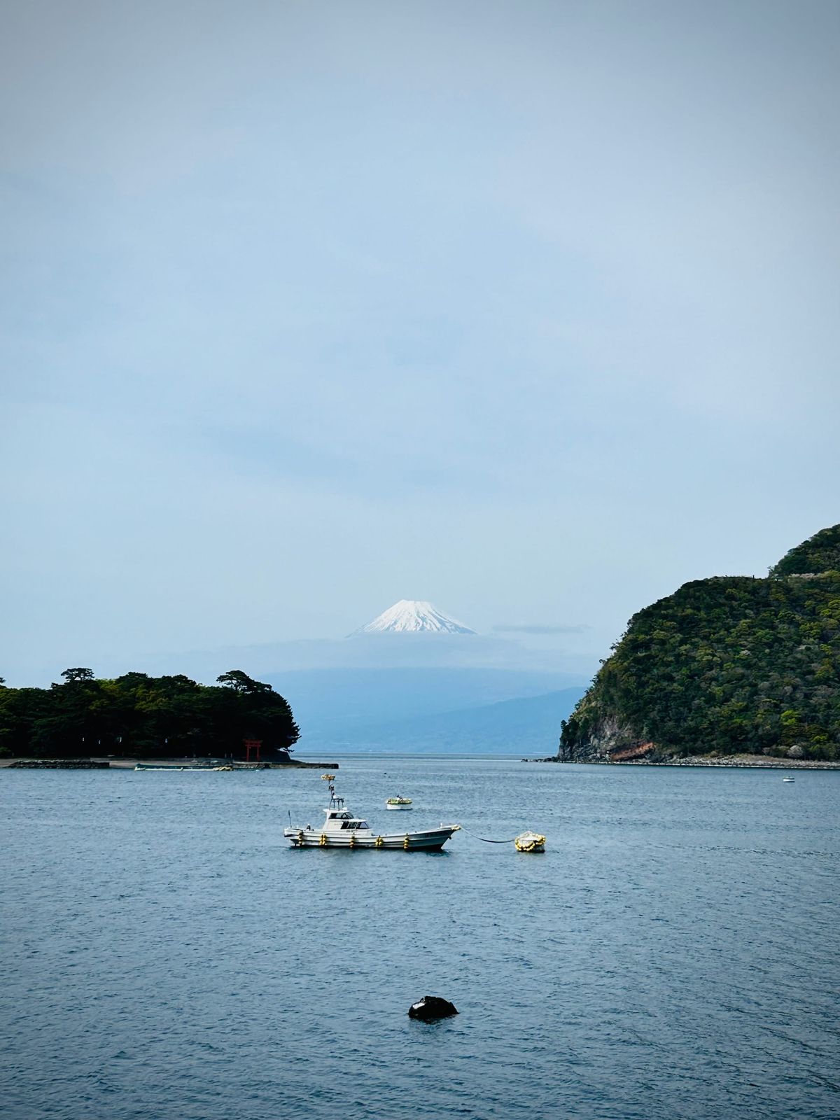 Ep 1305 Untranslatable Words | Twenty Thousand Hertz