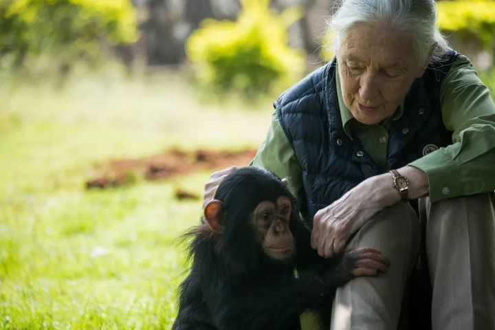 Ep 1681 Jane Goodall | Fresh Air