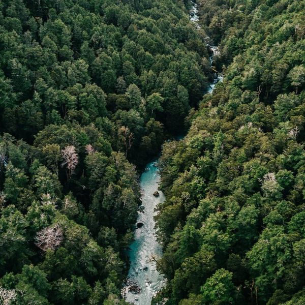Kia ora koutou katoa