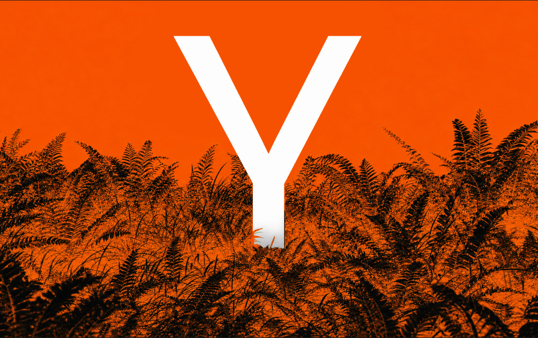From Pivot Hell to Paid Customers (YC Solo Founder)
