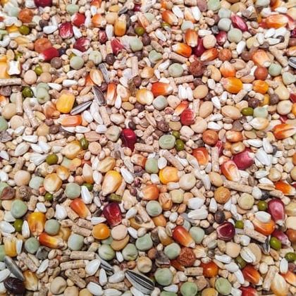How to Adjust Your Feed Mix as the Race Distance Increases