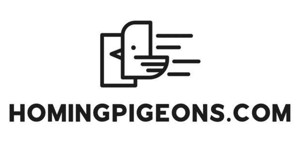 About HomingPigeons.com