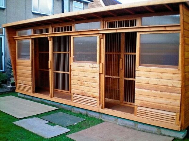 How Big Should a Pigeon Loft Be?
