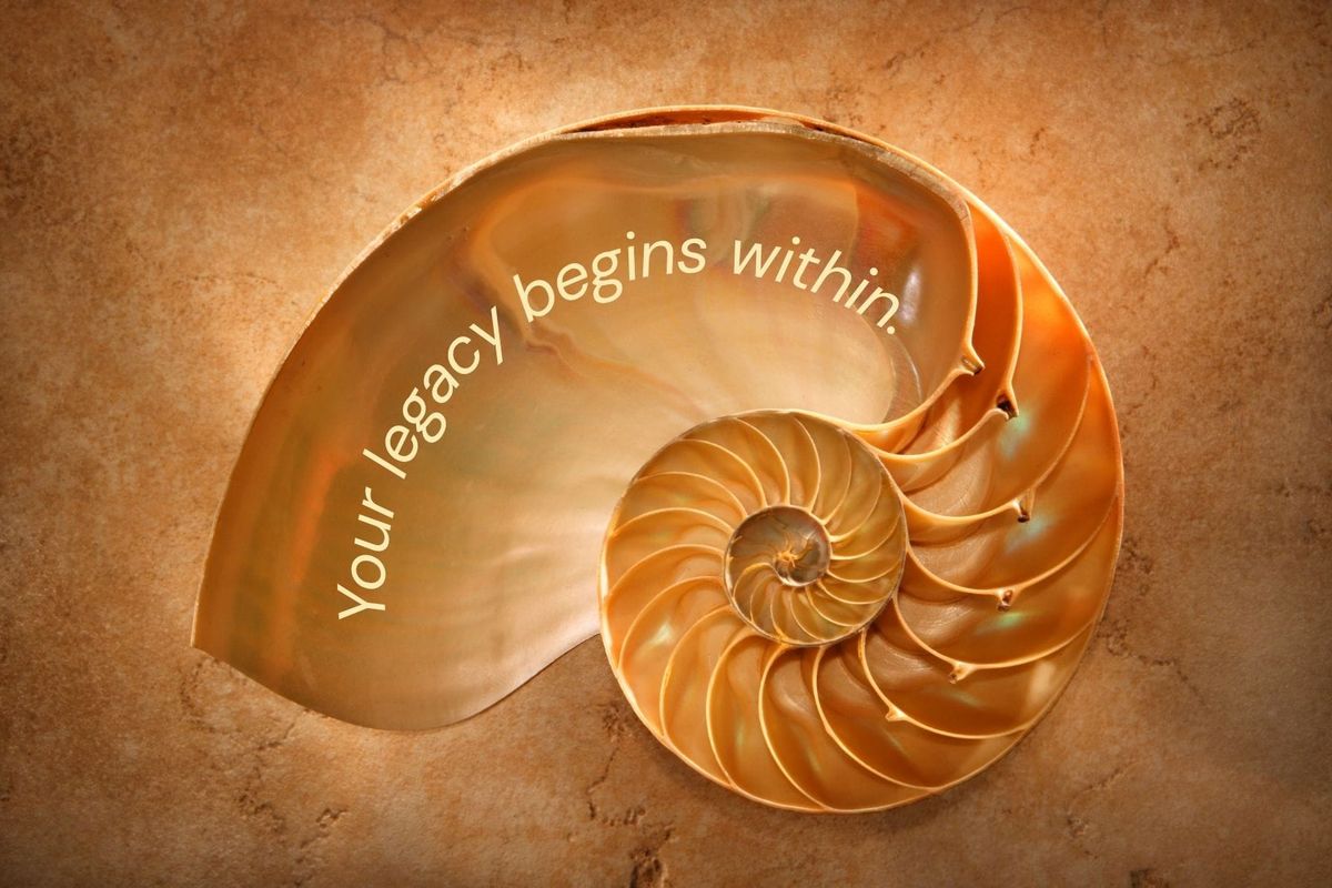 Nautilus.