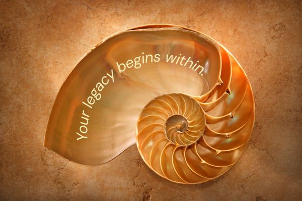 Nautilus.