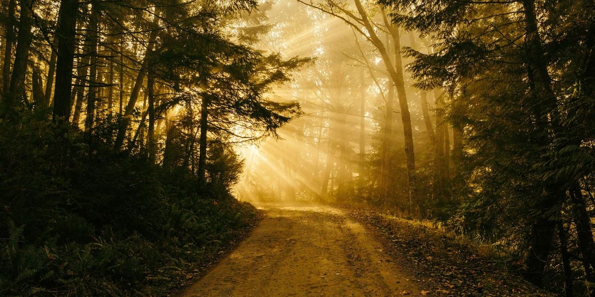 How to Become a Therapist in Canada: A Comprehensive Guide