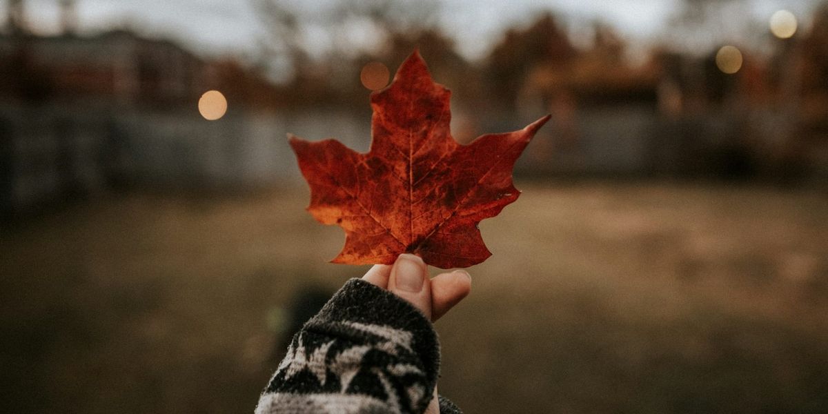 The Future of Therapy in Canada: Trends and Insights for 2025