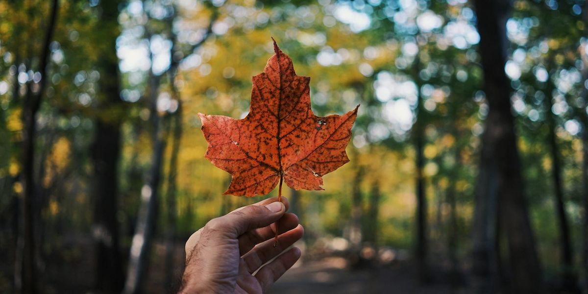How to Find a Therapist in Canada (2026 Guide)