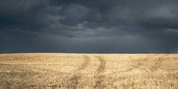 Voting on Belonging: The Mental Health Toll of Alberta's Referendum