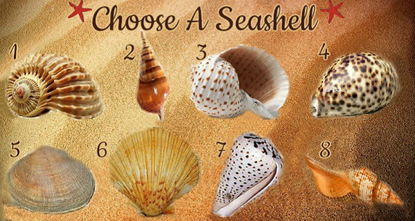 Select A Seashell And Uncover Your True Personality