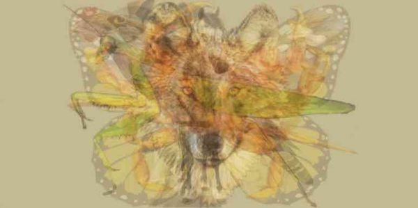 The First Thing You See In This Picture Reveals Your True Personality