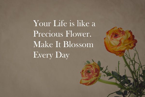 How to Tell Whether You’re Wasting Your Life or Not