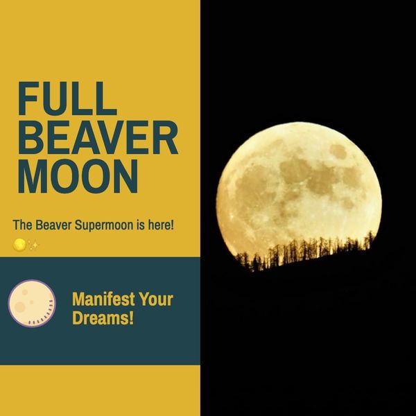 The Beaver Supermoon: Ground Your Dreams and Manifest Abundance
