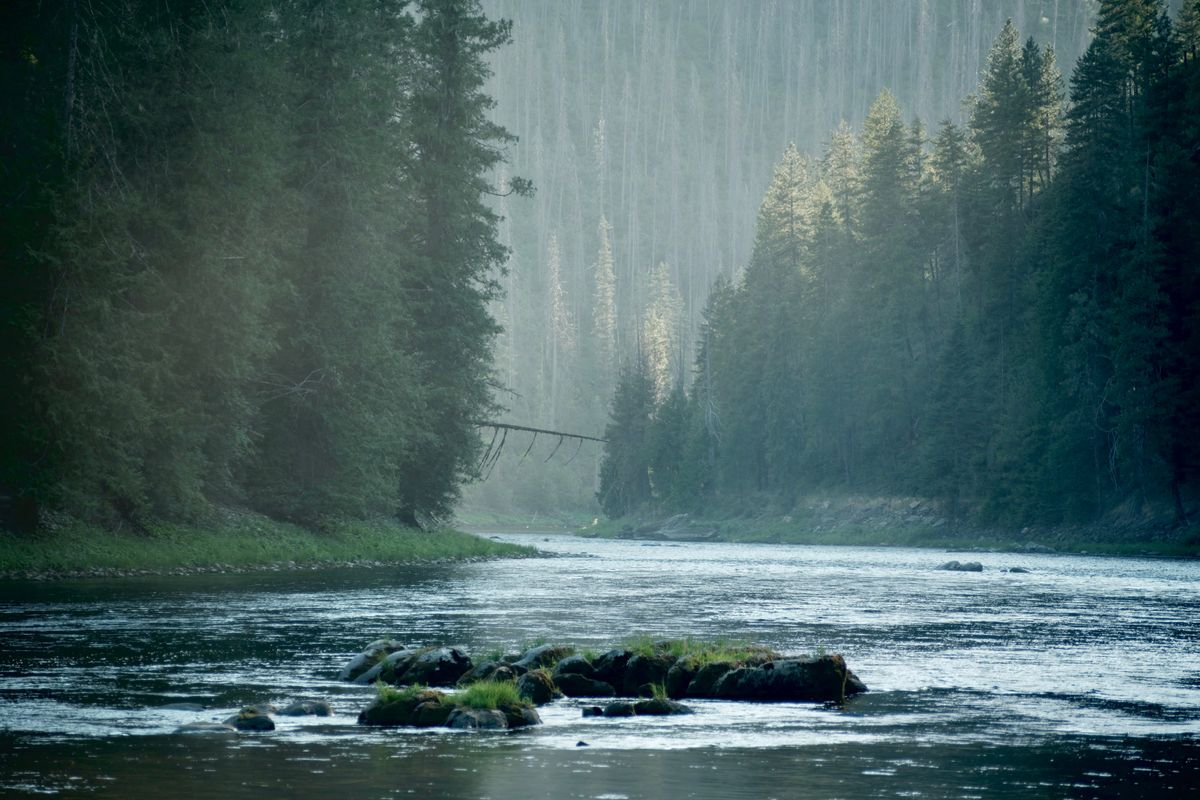 Selway River