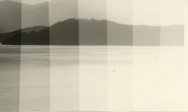 Film from Digital Prints: Fomatone Warmtone Paper