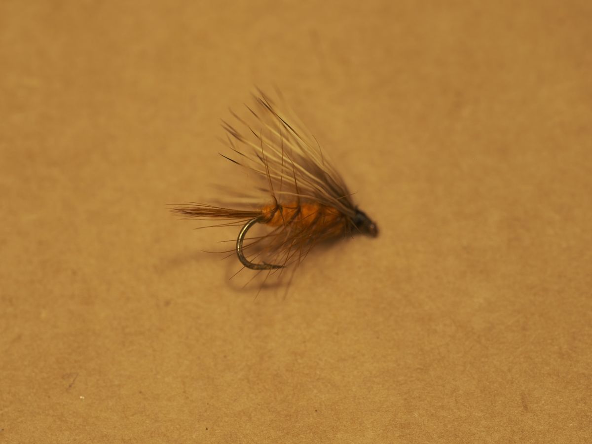 Macro on Fuji GFX with Mamiya 120mm f4 Macro Lens