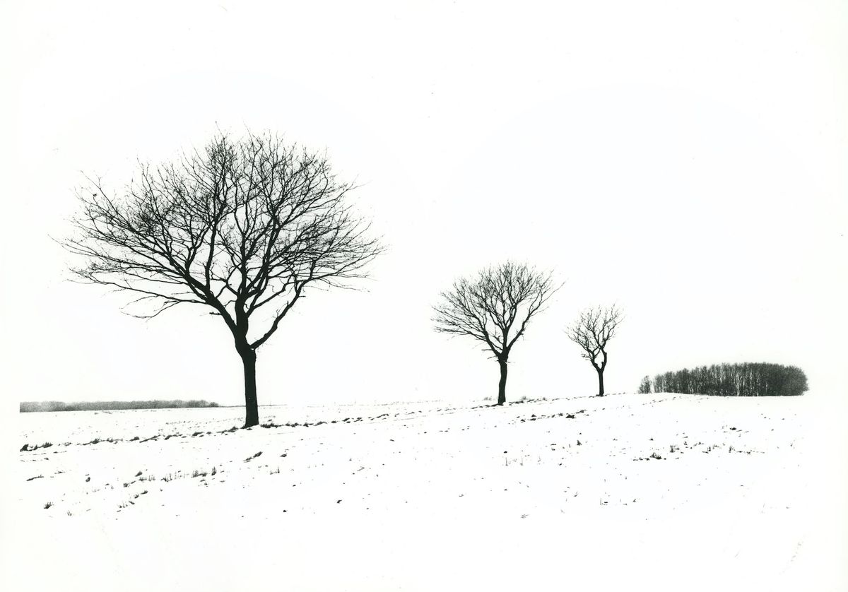 Experiences of the Sublime