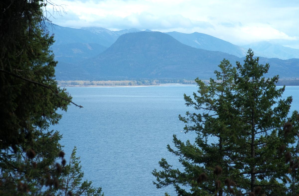 Mineral Point and Larches