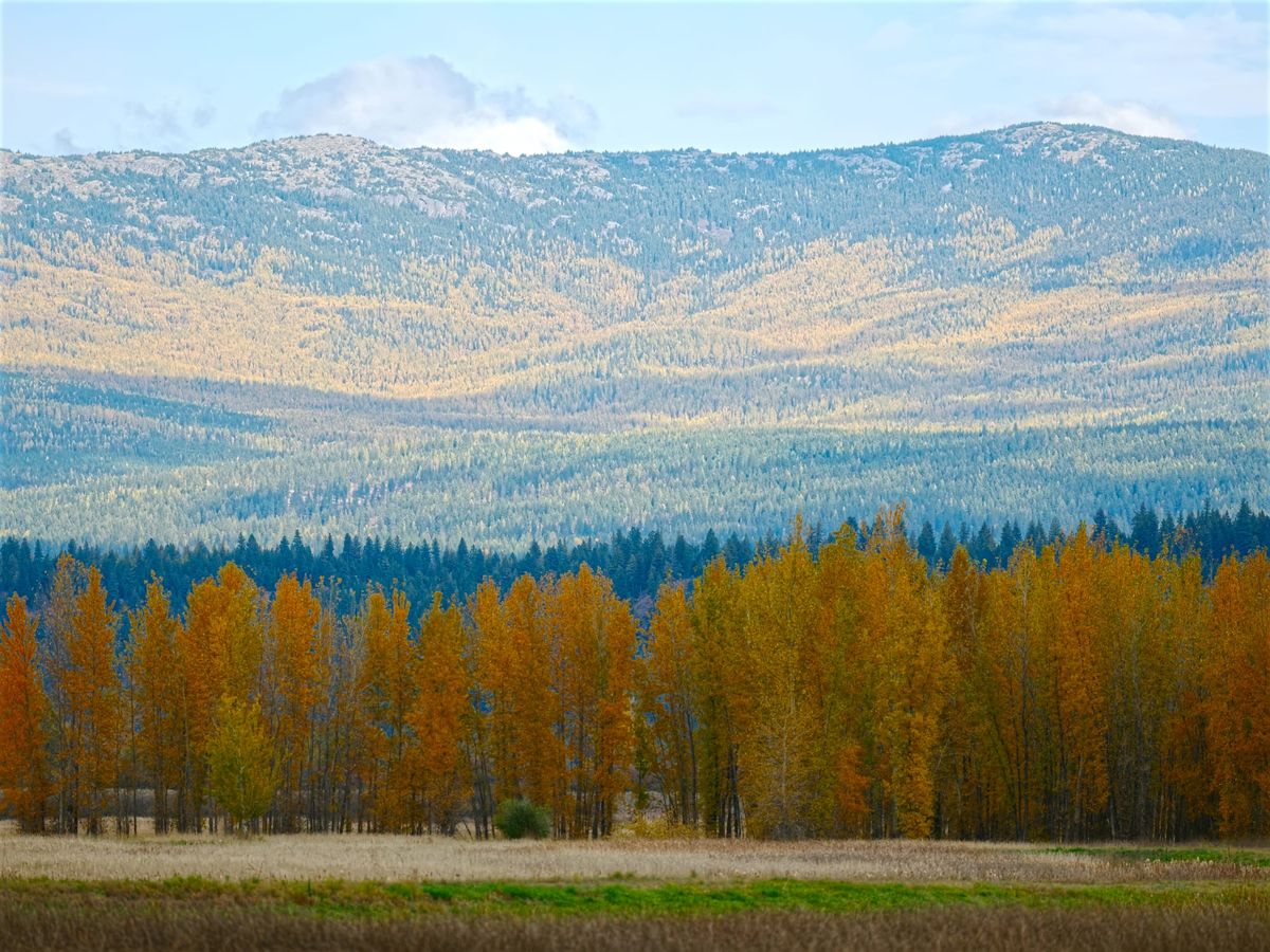 Falling for the Kootenai
