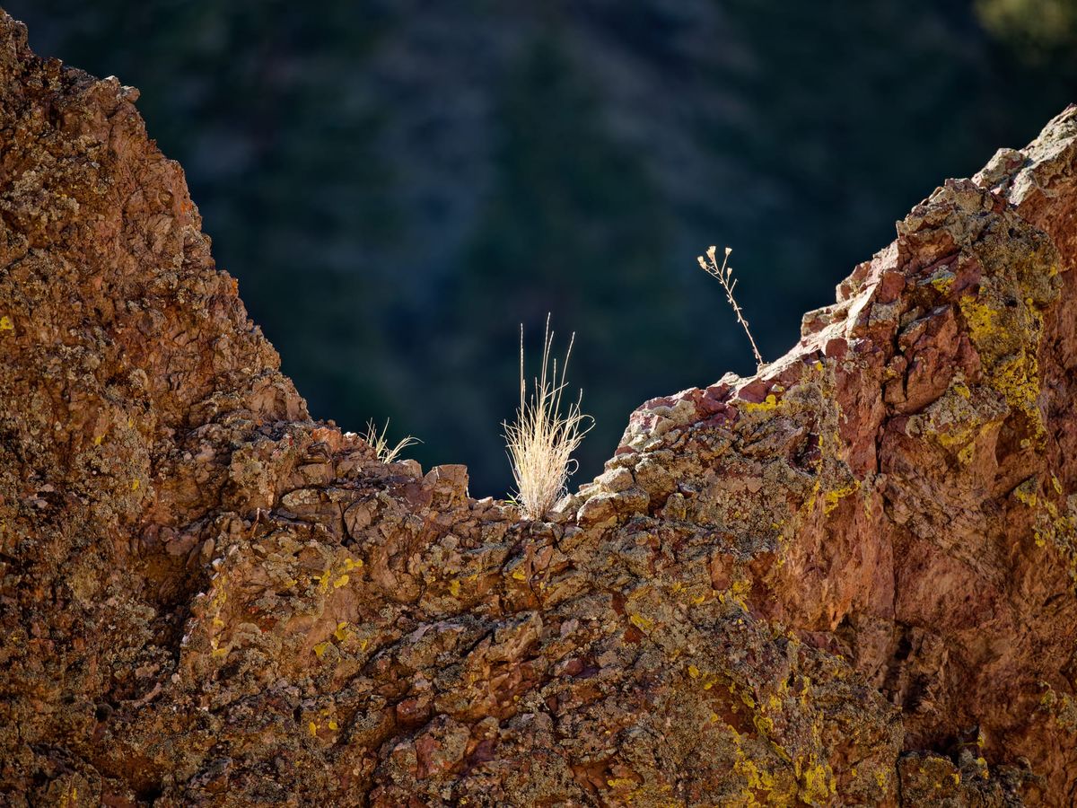 The Long Lens Vision