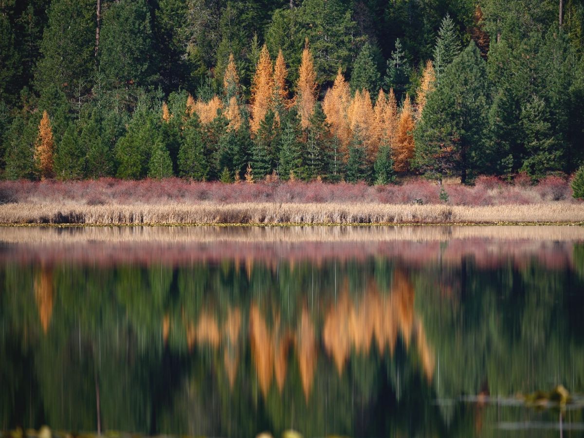 Gamlin Lake Moods