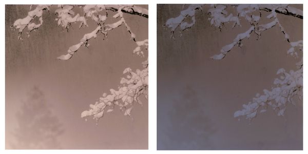 Ephemeral Prints: Part 2