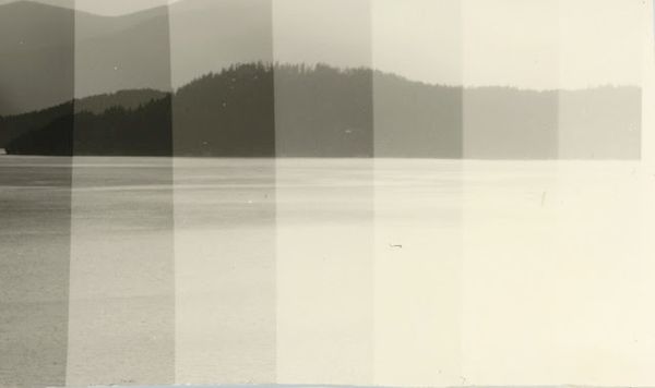 Film from Digital Prints: Fomatone Warmtone Paper