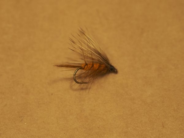 Macro on Fuji GFX with Mamiya 120mm f4 Macro Lens