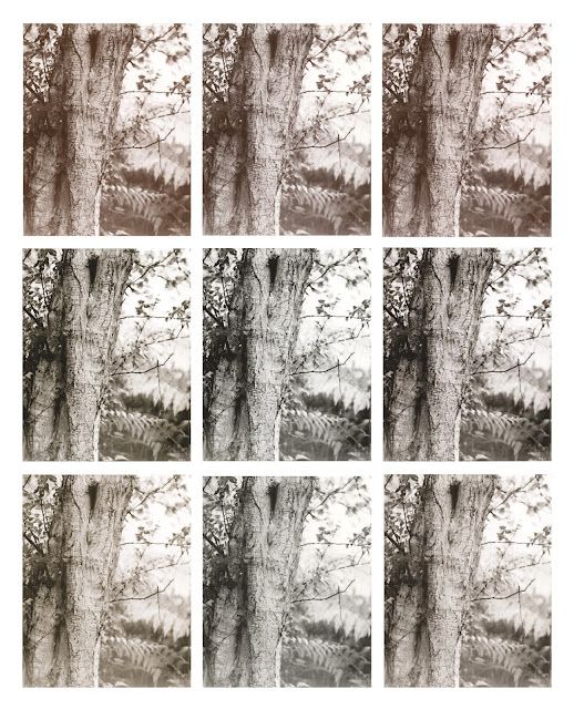 Invention Continued: More Physical Split Printing and Toning