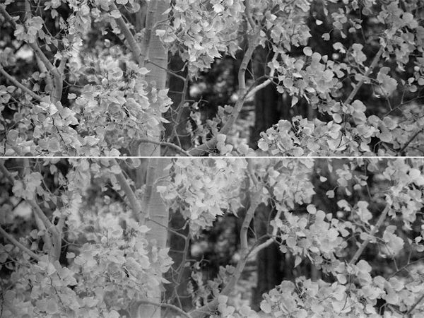 Film from Digital (Part 4 Bayeaux Results)